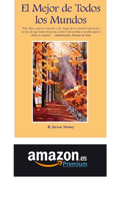 B. Steven Verney's book is available on amazon'.